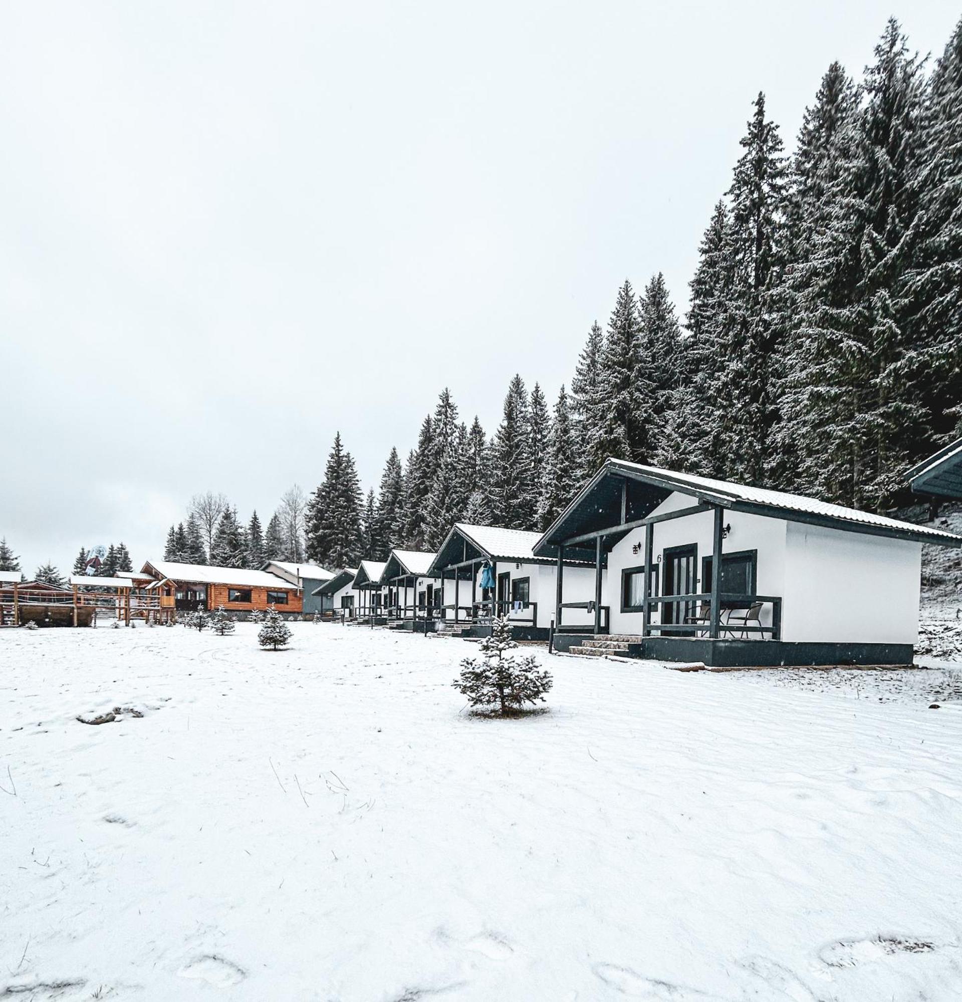 Resort Clubul Dacilor