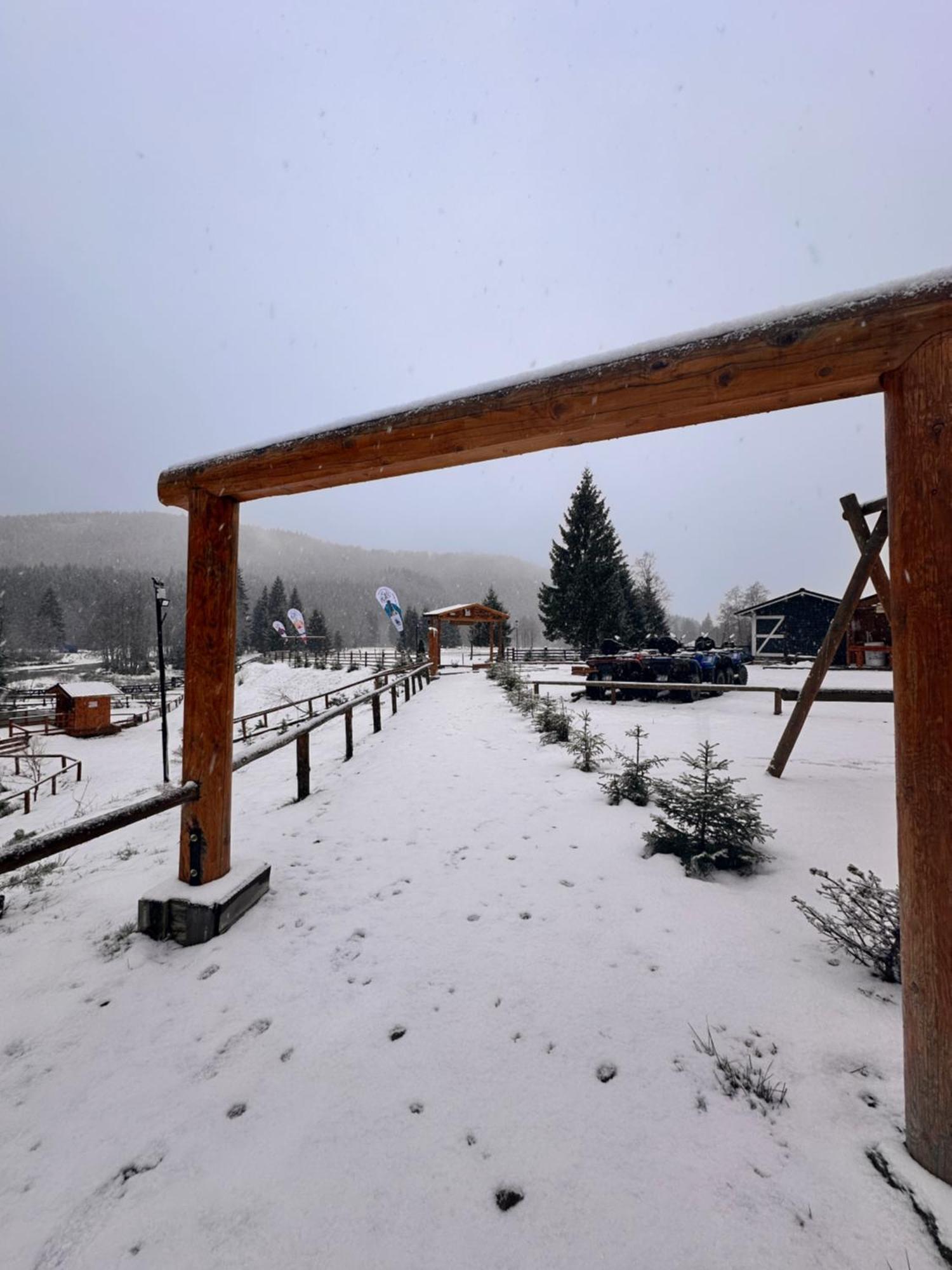Station touristique Clubul Dacilor *