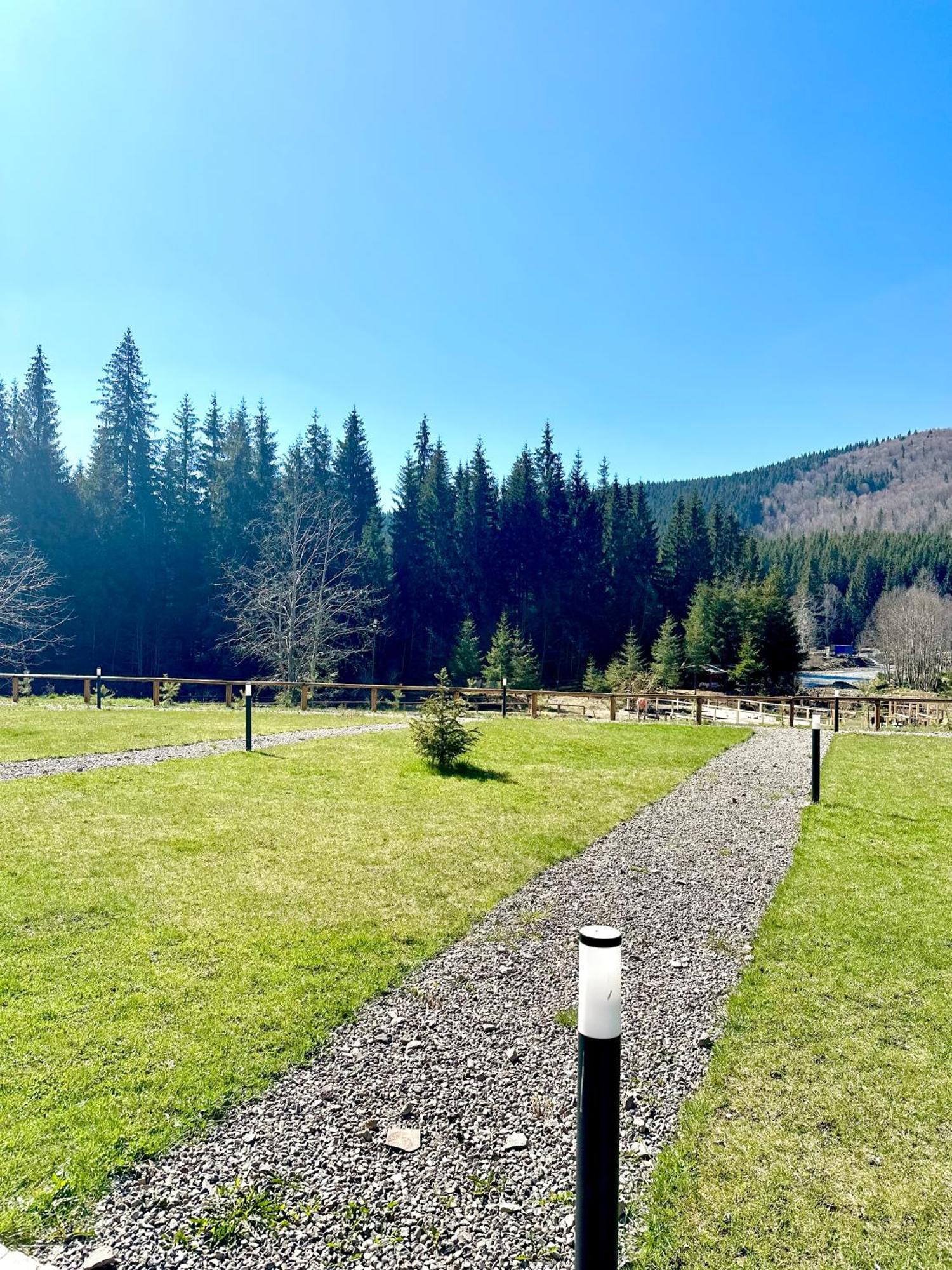 Resort Clubul Dacilor Comandău